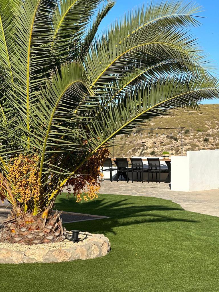 Los Palmitos Agua Amarga  Exterior foto